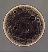 Светильник DZN-14157 ЧЕРНЫЙ 