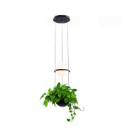 Светильник DZN-8531 ЧЕРНЫЙ 