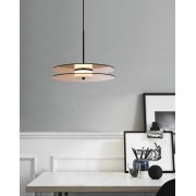 Cветильник DZN-43639 ЧЕРНЫЙ + ТОНИРОВАННОЕ СТЕКЛО D280*60/H1500/1/LED/12W/4500K UFO 24-08