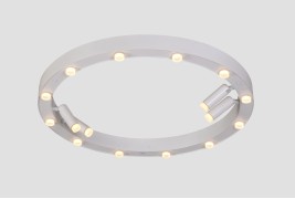 Светильник потолочный ElegantLight DZN-9133 WHITE D650/H100/12+4/LED/48W/3000K 22-10 VISION