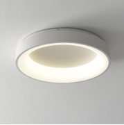 Светильник DZN-12479 БЕЛЫЙ D500/H100/1/LED/36W/2800-6500K 2.4G
